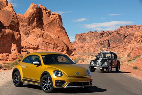 Beetle Dune