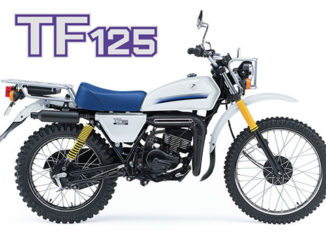 SUZUKI TF125